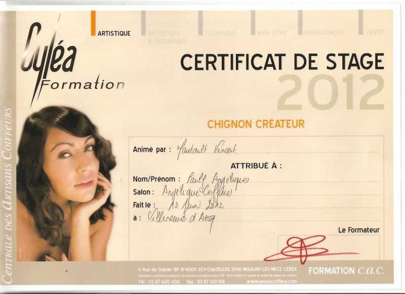 Chignon Créateur